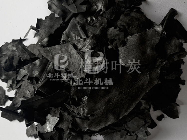 樟樹葉.jpg